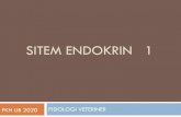 SITEM ENDOKRIN 1 - vlm.ub.ac.idvlm.ub.ac.id/pluginfile.php/44234/mod_resource/content/1/ppt kuliah.… · Disekresikan ke dalam darah oleh sel kelenjar endokrin dalam jumlah sangat