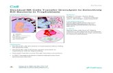 Decidual NK Cells Transfer Granulysin to Selectively Kill ...cbdm.hms. · PDF file INTRODUCTION Decidual natural killer (dNK) cells, the most abundant immune cells at the maternal-fetal
