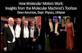 How Molecular Motors Work: Insights from the Molecular … · 2017. 2. 6. · How Molecular Motors Work: Insights from the Molecular Machinst’s Toolbox Dean Astumian, ... MOLECULAR