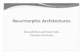 Neurmorphic Architectures...Artificial Neural Network Chips yEarly neuromorphic architectures were artificial neural network chips yExamples: yETANN : (1989) Entirely analog chip that