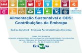 Alimentação Sustentável e ODS: Contribuições da Embrapa · inclusiva e sustentável e fomentar a inovação Assegurar padrões de produção e de consumo sustentáveis Tomar