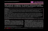 RESEARCH ARTICLE Open Access C5a and its receptors in … · RESEARCH ARTICLE Open Access C5a and its receptors in human anti-neutrophil cytoplasmic antibody (ANCA)-associated vasculitis