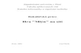New Hra Mlýn na sítigraphics.zcu.cz/files/BP_2008_Bacik_Josef.pdf · 2010. 2. 18. · Západočeská univerzita v Plzni Fakulta aplikovaných věd Katedra informatiky a výpočetní