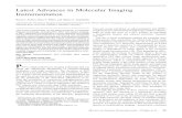 Latest Advances in Molecular Imaging Instrumentationjnm.snmjournals.org/content/49/Suppl_2/5S.full.pdf · 2008. 5. 31. · Latest Advances in Molecular Imaging Instrumentation Bernd