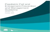 and Management Guideline - cec. Paediatric Fall and Entrapment Prevention and Management Guideline Version