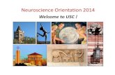 Welcome to USCProf. Irving Biederman, PSYC (bieder@usc.edu) Prof. Albert Herrera, BISC (aherrera@usc.edu) ... A conference presentation* or a publication* in a ... 213-740-3800 YES