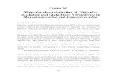 Molecular characterization of Glutamine synthetase and …shodhganga.inflibnet.ac.in/bitstream/10603/98968/15/15_chapter 7.p… · Monopterus cuchia and Monopterus albus 7.1 INTRODUCTION