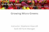 Growing Micro Greens - Love Apple Farms · 2014. 8. 8. · Micro Greens Not a Sprout, Not Yet a Vegetable •Require a soil-like medium and sunlight •Eaten with cotyledons, or with