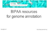 BIPAA resources for genome annotation · annotation Search for your favorite gene (e.g. gustatory receptor, DV000053-RA, GO id, …) Availables services for this genome Links to reports