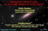 Shedding CARMA Light on the Dark Matter in NGC 6503?Shedding CARMA Light on the Dark Matter in NGC 6503? Peter Teuben Astronomy Department University of Maryland Collaborators: Kristine