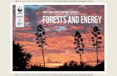 WWF LIVING FORESTS REPORT: CHAPTER 2 REPORT FORESTS … · people live and their economic status: Traditional uses: According to the Food and Agriculture Organization (FAO), wood
