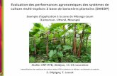 Évaluation des performances agronomiques des systèmes de ...banana-networks.org/innovate-plantain/files/2013/... · Projet EcoPlantain : l’étude de la plante (Cirad UPR26 / Carbap)