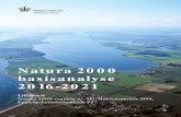 Natura 2000 basisanalyse 2016-2021 · undersøgelser. Derfor opdateres udpegningsgrundlaget for de enkelte Natura 2000-områder med mellemrum. Dette vil typisk ske hvert 6. år forud