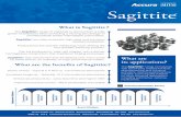 What is Sagittite - Accura Group · Saves money - Typical 5 X ROI vs. conventional alternatives Increases longevity - Typically 10 X conventional alternatives Enhances productivity