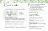 Neobladder...to wake up once or twice. • Because your neobladder can absorb chemicals your kidneys have filtered out of your blood stream, it is important to empty your neobladder