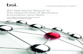 BSI Standards Report to the Department of ... - BSI Group · During 2012/13 BSI Standards (BSI) continued to implement its strategy of providing a clear market sector focus for the
