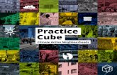 Practice Cube - klimabuendnis.org€¦ · Gladys Grelaud, Brest métropole FRANCE “SupportingtheresidentsofLiège,even people in very precarious situations, in improving their living
