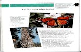 WebSelf...les scientifiques donnent au monarque. Le monarque est un papillon migrateur. Le monarque est un papillon magnifique et passionnant connaître. Si tu veux en savoir plus