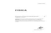 FISICA · 2019. 4. 3. · Fisica 7 Rilevazione ed elaborazione dei dati e risoluzione dei problemi A parole o con altre modalità adeguate (p.e. simboli, rappresentazioni grafiche