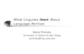 What Linguists Know About Don’t Language Attritionidiom.ucsd.edu/~goodall/119polinsky.pdf · Armenian: Indo-European, two main varieties, Eastern (Armenia, Iran) and Western (“Diaspora