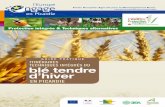 EN PICARDIE - agro-transfert-rt.org©raire... · I Page 4 I 2001) et en Belgique (Livre vert, 2002), les produits phytosanitaires détectés dans l’eau sont majoritai-rement utilisés