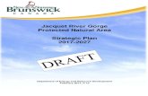 Jacquet River Gorge Protected Natural Area Strategic Plan ... 2017-2027 Strategic Plan for the Jacquet