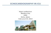 ECHOCARDIOGRAPHY IN ICU · Status asthmaticus Airway obstruction Alveolar proteinosis Pulmonary contusion Plattset al. JASE 2012. Indications for VA-ECMO Cardiac arrest/near-cardiac