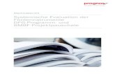 Systemische Evaluation der Förderinstrumente DFG-Programm ... Evaluation_Pauschalen... · Die DFG-Programm- und BMBF-Projektpauschalen sollen als Förderinstrumente Deutschlands