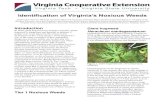 Identification of Virginia’s Noxious Weeds€¦ · Virginia Tech; and Jacob Barney, Associate Professor, School of Plant and Environmental Sciences, Virginia Tech Introduction In