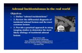 Adrenal Incidentalomas in the real world€¦ · Adrenal Incidentalomas in the real world Brian R. Herts, MD Associate Professor of Radiology Head, Abdominal Imaging, Imaging Institute