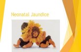 Neonatal Jaundice - · PDF file Neonatal Jaundice - definition Neonatal jaundice is manifested by yellow coloring of the skin, of sclera and mucousa caused by accumulation of bilirubin