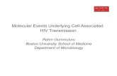 Molecular Events Underlying Cell-Associated HIV Transmission€¦ · Molecular Events Underlying Cell-Associated HIV Transmission. Rahm Gummuluru. Boston University School of Medicine