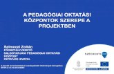 A PEDAGÓGIAI OKTATÁSI KÖZPONTOK SZEREPE A€¦ · kommunikáció Pedagógiai-szakmai szolgáltatások és módszertani tudástár fejlesztése Intézményfejlesztéshez kapcsolódó