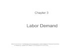Labor Demand - contents.kocw.netcontents.kocw.net/KOCW/document/2014/Pusan/kimgiseung/3.pdf · SR Demand Curve for Labor VMP E Number of Workers VMP E Because marginal product eventually