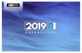 ANSYS 2019 R1 Capabilities - cadfem-an.com · 2 = ANSYS Fluent 3 = ANSYS DesignXplorer 4 = ANSYS SpaceClaim 5 = ANSYS Customization Suite (ACS) 6 = ANSYS HPC, ANSYS HPC Pack or ANSYS