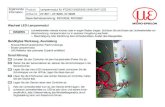 Wechsel LED-Lampenmodul - Micro-Epsilon€¦ · MICRO-EPSILON MESSTECHNIK GmbH & Co. KG Königbacher Str. 15 · 94496 Ortenburg / Deutschland Tel. +49 (0) 8542 / 168-0 · Fax +49