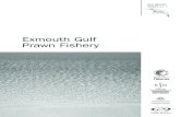 Exmouth Gulf Prawn Fishery - fish.wa.gov.au · ESD Report Series No. 1 – Exmouth Gulf Prawn Fishery List of figures List of tables Figure 1. Summary of process for completing ESD