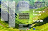 The - European Union External Action - European External ...eeas.europa.eu/archives/delegations/georgia/documents/virtual_library/... · “The European Union is made up of 27 Member