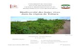 Biodiversité des haies vives dans la région de Toliara _Dama_site_web.pdf · écologiques adaptées, une recherche a été faite sur : l'« Étude de la biodiversité des haies