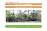 PRO SILVA HELVETICApro-silva-helvetica.ch/pdf/Portrait08_f.pdf · 1 PRO SILVA HELVETICA Portrait de la forêt jardinée du « Toppwald, Obere Moosmatten », commune de Niederhünigen