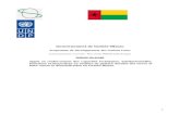 Gouvernement de Guinée-Bissau€¦ · ENDOSSEMENT POUR LE COMPTE DU GOUVERNEMENT: Cont aux indicateurs-clé du plan d’affaires : Cette proposition a été établie en conformité