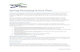 Spring Sweeping Action Plan - Spokane Valley, Washington€¦ · This document addresses the City of Spokane Valley’s Spring Sweeping Action Plan and outlines the purposes, responsibilities,