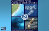 Ocean/Wind Power Ecological Baseline Studies Wind Power Ecological... · 09.11.2007  · • Recommendations – Natural Resources – Economics, Tourism – Ocean Uses. 5 Ocean/Wind