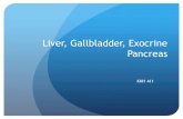 Liver, Gallbladder, Exocrine Pancreas · PDF file Pathophysiology of the Liver! Alcoholism! Chronic consumption of > 80 g of ethanol/day! Alcoholic liver disease (ALD)! Dependency