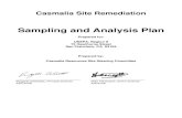 Sampling and Analysis Plan€¦ · 4.0 Handling and Analysis of Samples 4-1 4.1 Sample Analysis 4-1 4.1.1 Equipment Rinsate Blanks 4-1 4.1.2 Analytical Methods 4-1 4.1.3 Sample Containers