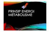 PRINSIP ENERGI METABOLISME - Septiana€¦ · pada siklus krebs •mengetahui sumber residu asetil •mengetahui lokasi enzim pada mitokondria •mengetahui komponen rantai pernapasan