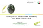 Ökologie und waldbauliche Bedeutung der Winterlinde in NRW€¦ · Erst als sich das Klima vor 4.500 Jahren deutlich abkühlte, verdrängten Buchen und Fichten die wärmeliebende