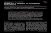 Citation: 4:211 2008 EMBO and Nature Publishing ... - BGUymeir/publications/msb4-211-2008.pdf · Variable sizes of Escherichia coli chemoreceptor signaling teams Robert G Endres1,2,6,