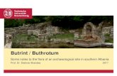 Butrint / Buthrotum · Some notes to the flora of an archaeological site in southern Albania ... Olea europaea, Orobanche hederae, Parietaria judaica, Punica granatum, Quercus coccifera,