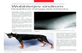 Wobblerjev sindrom - Kinološka Zveza Slovenije€¦ · Patofiziologija bolezni ni popolnoma pojasnjena. Sumi se, da nestabilnost zadnjih treh vratnih vretenc, skupaj s povečano